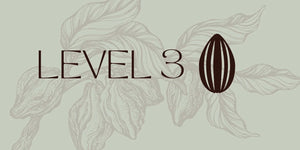 LEVEL 3 - Cuatro Manos y Cinco Volcanes Farms