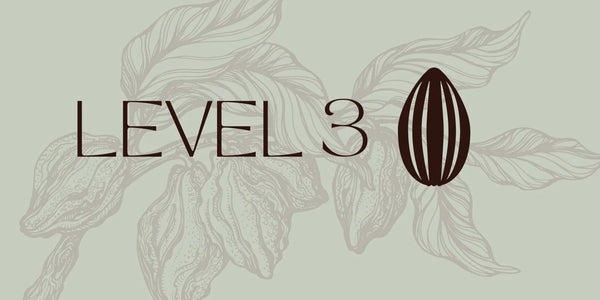 LEVEL 3 - Cuatro Manos y Cinco Volcanes Farms